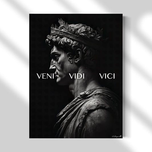 Veni Vidi Vici Premium Leinwand